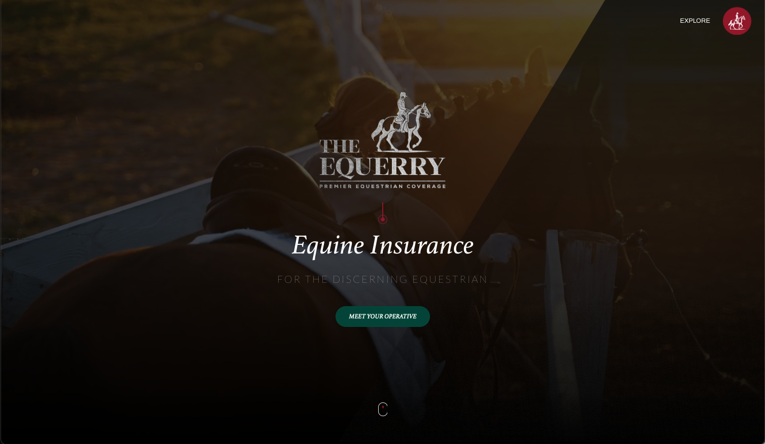 The Equerry, A Luxury Digital Experience for Equine Insurance
