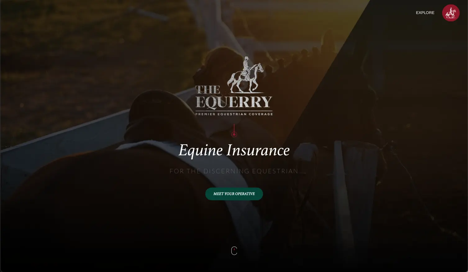 The Equerry, A Luxury Digital Experience for Equine Insurance